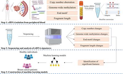 Multimodal analysis of genome-wide methylation, copy number aberrations, and end motif signatures enhances detection of early-stage breast cancer